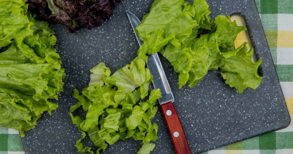 Lettuce Container Garden