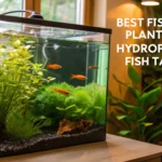 DIY Hydroponic Fish Tank