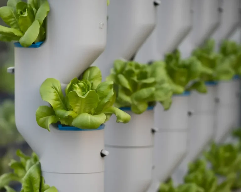 DIY aeroponics system for easy soil-free gardening at home.