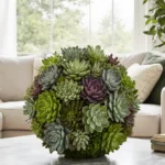 Succulent Sphere Garden