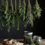 Dry and Store Fresh Garden Herbs