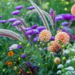 Colorful Zinnia and Dahlia garden combinations in a summer border setting.