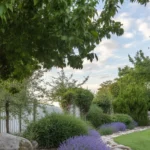 Beautiful landscape design ideas featuring plants, water features, and hardscaping.